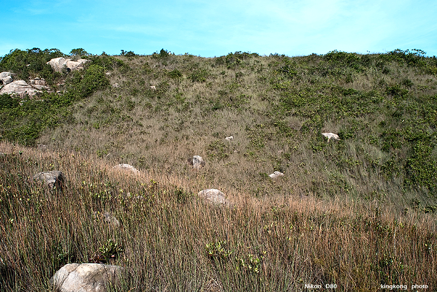 DSC_2653.JPG - STANLEY TO QUARRY BAY