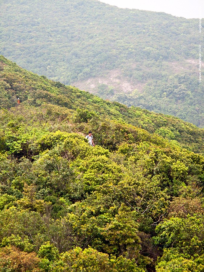 IMG_2056.jpg - 衛奕信徑2, 衛奕信徑1