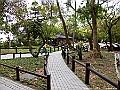IMG_1868