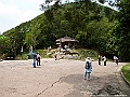 IMG_1894