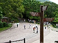 IMG_1898