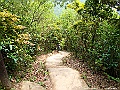 IMG_1906