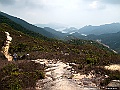 IMG_1950