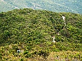 IMG_1961