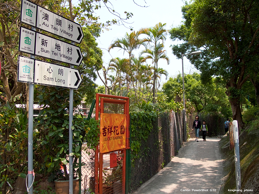 IMG_3270.jpg - 井欄樹