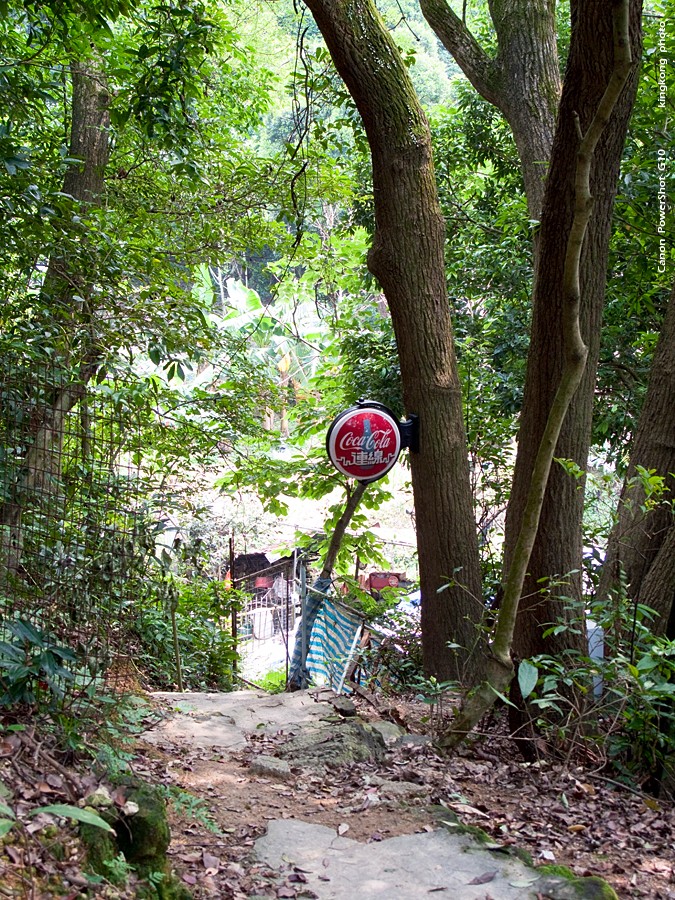 IMG_3288.jpg - 五桂山