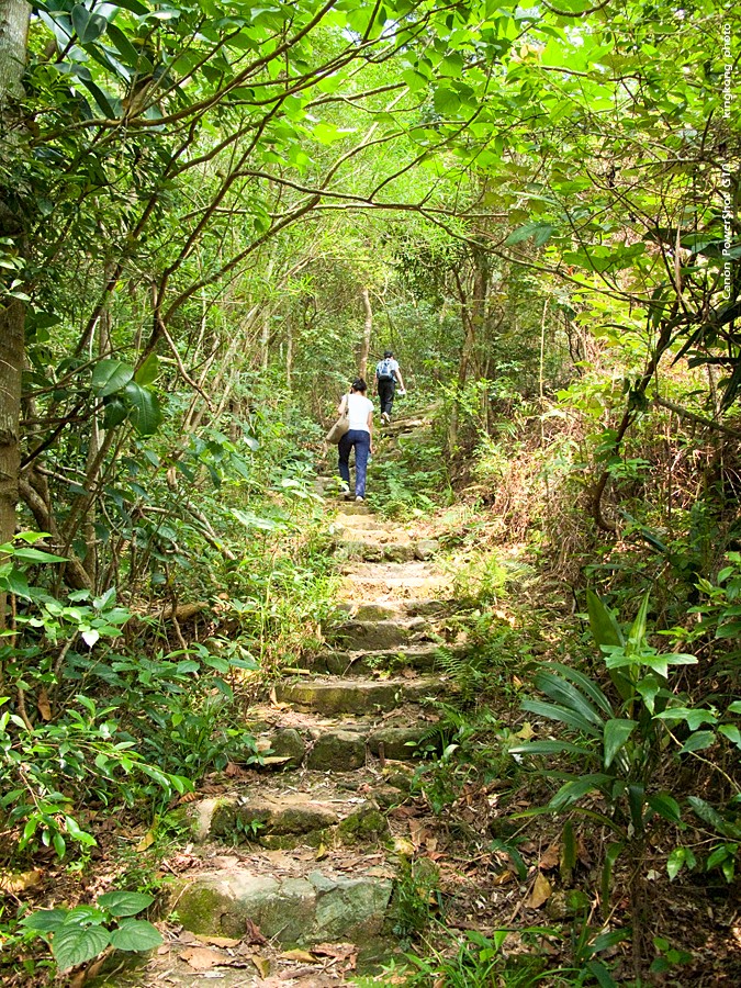 IMG_3296.jpg - 五桂山