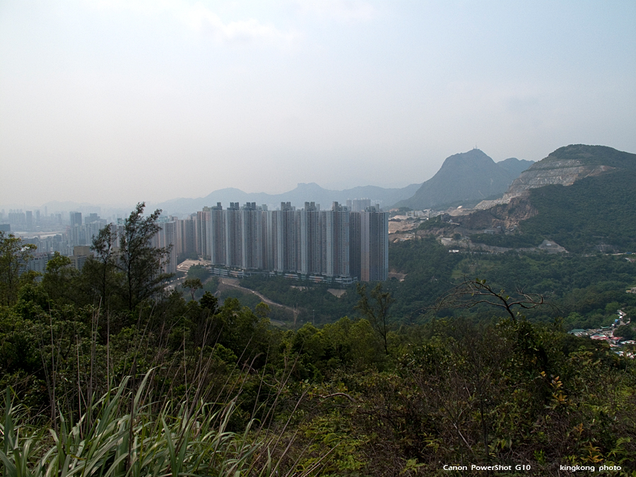IMG_3331.jpg - 五桂山
