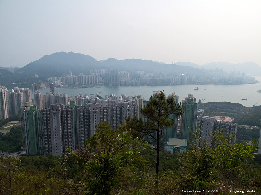 IMG_3422.jpg - 五桂山