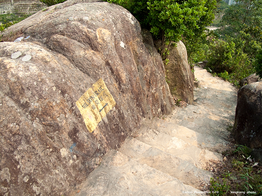 IMG_3431.jpg - 五桂山