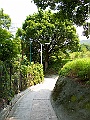 IMG_3271
