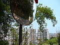 IMG_3278