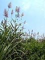 IMG_3281