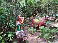 IMG_3299