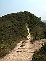 IMG_3335