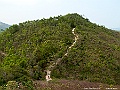 IMG_3411
