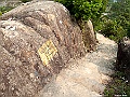 IMG_3431