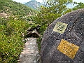 IMG_3442
