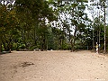 IMG_3444