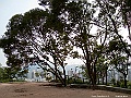 IMG_3445