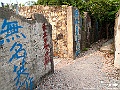 IMG_3507