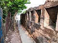 IMG_3508