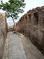 IMG_3509