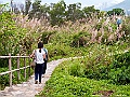 IMG_3558