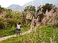 IMG_3559