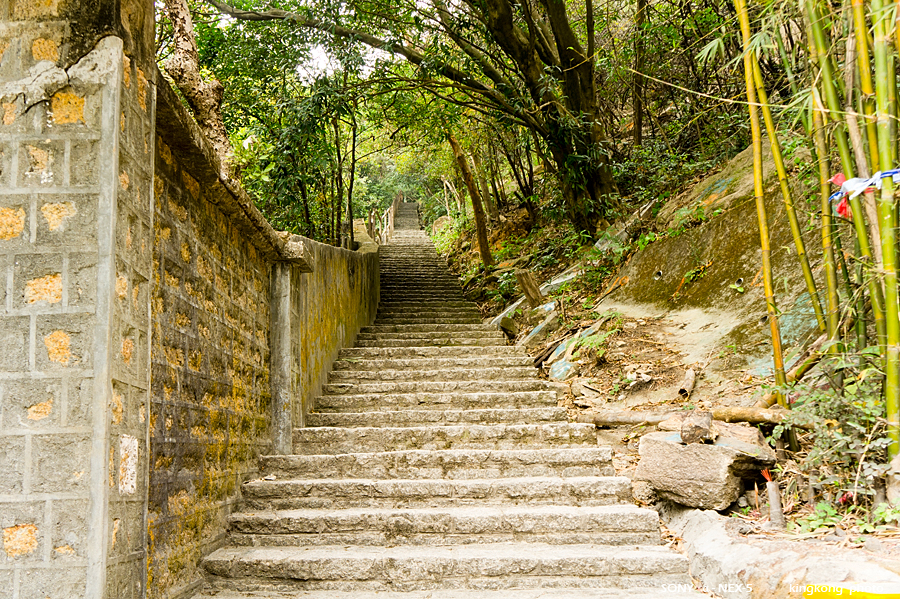 _DSC7720.jpg - Taken at Latitude/Longitude:22.352442/114.199552. 0.28 km North Tai Hom Village  Hong Kong   (Map link) 