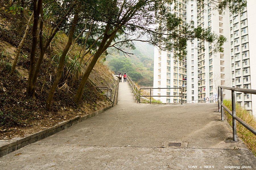 _DSC7721.jpg - Taken at Latitude/Longitude:22.351430/114.198310. 0.24 km North-West Tai Hom Village  Hong Kong   (Map link) 