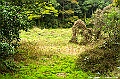 _DSC7565