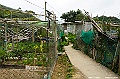 _DSC7572