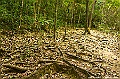 _DSC7577