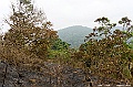 _DSC7596