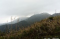 _DSC7623