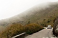 _DSC7650