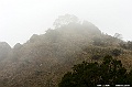 _DSC7653
