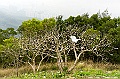 _DSC7676