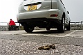 _DSC7677