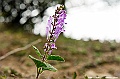_DSC7678