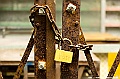 _DSC7717