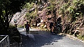 IMAG2908