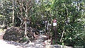 IMAG2913