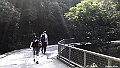 IMAG2924