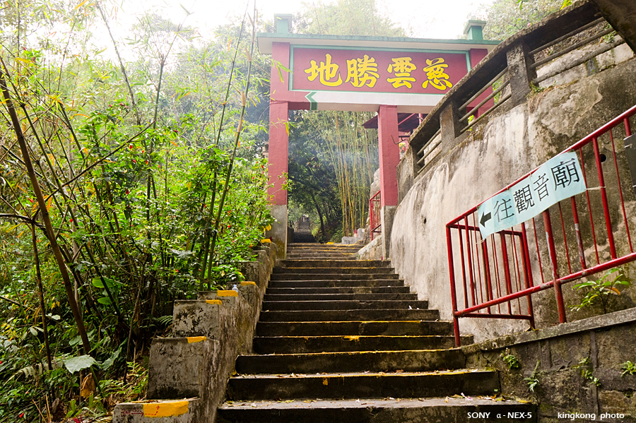 _DSC8429.jpg - Taken at Latitude/Longitude:22.353550/114.200100. 0.39 km North Tai Hom Village  Hong Kong   (Map link) 