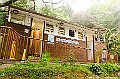 _DSC8441