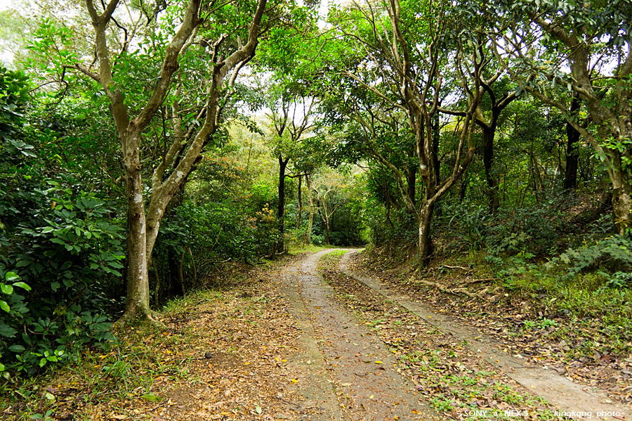 _DSC1009.jpg - Taken at Latitude/Longitude:22.357590/114.209720. 1.24 km South-West Tso Tui Ha  Hong Kong   (Map link) 