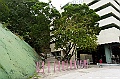 _DSC0993