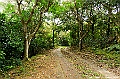 _DSC1009